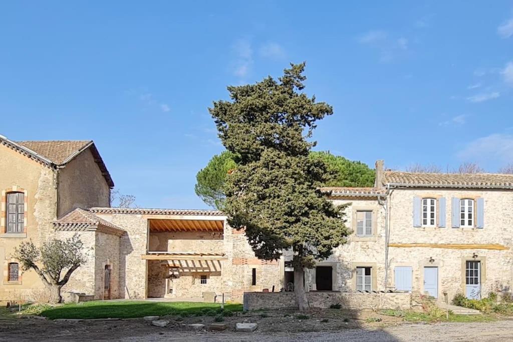 Domaine Villecarla Villedubert ภายนอก รูปภาพ