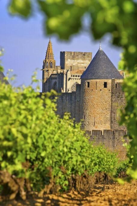 Domaine Villecarla Villedubert ภายนอก รูปภาพ