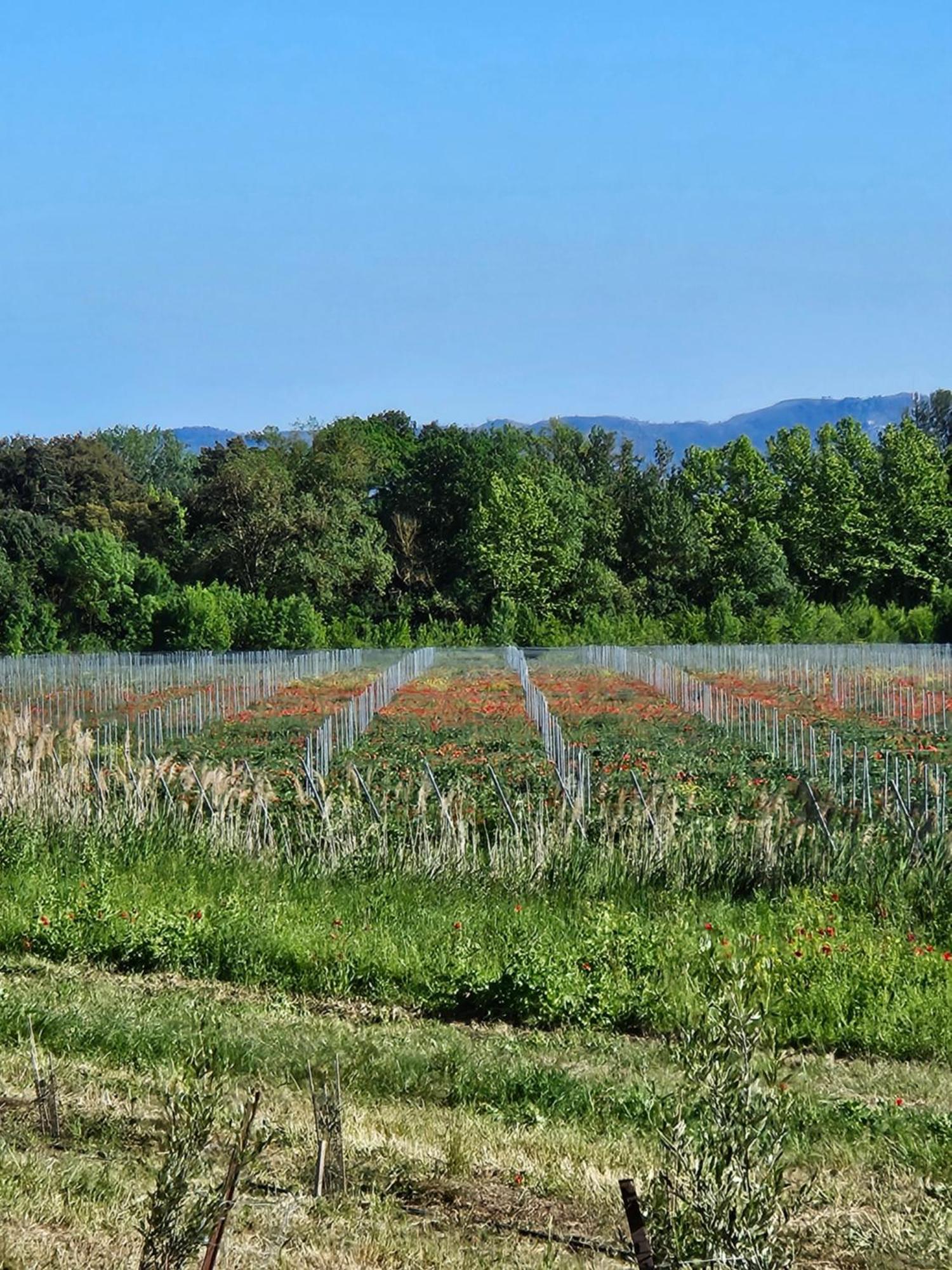 Domaine Villecarla Villedubert ภายนอก รูปภาพ